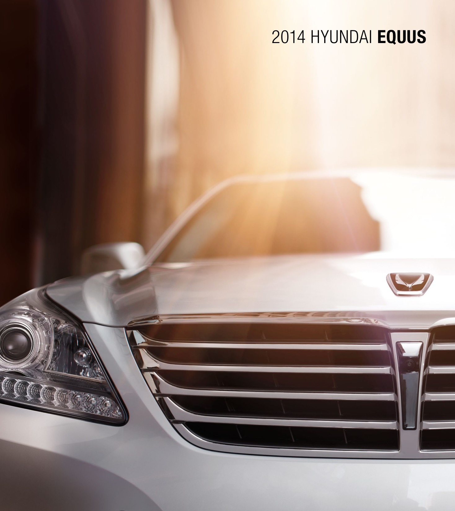 2014 Hyundai Equus Brochure Page 1